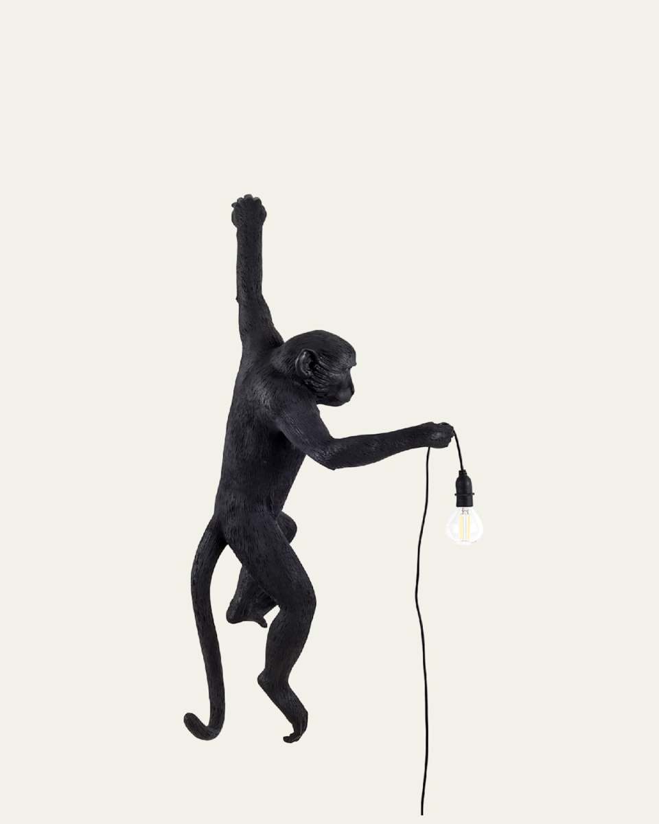 Monkey Left Hand Outdoor Hanging Wall Lamp